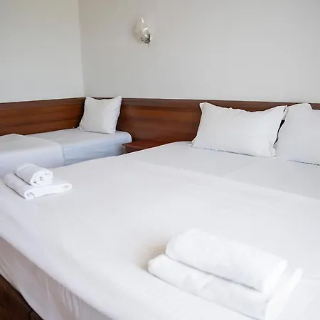 Hotel Lasko