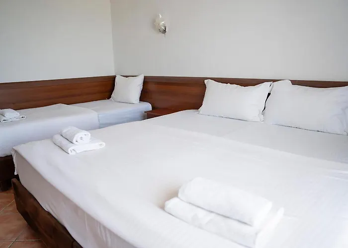 Hotel Lasko
